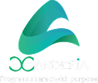 PT XIN Logo